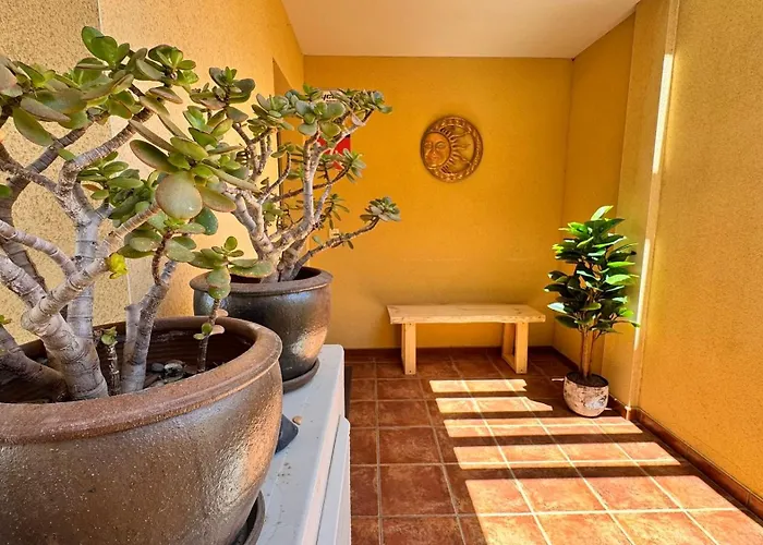 Sun & Surf Tejita Tatil Evi *